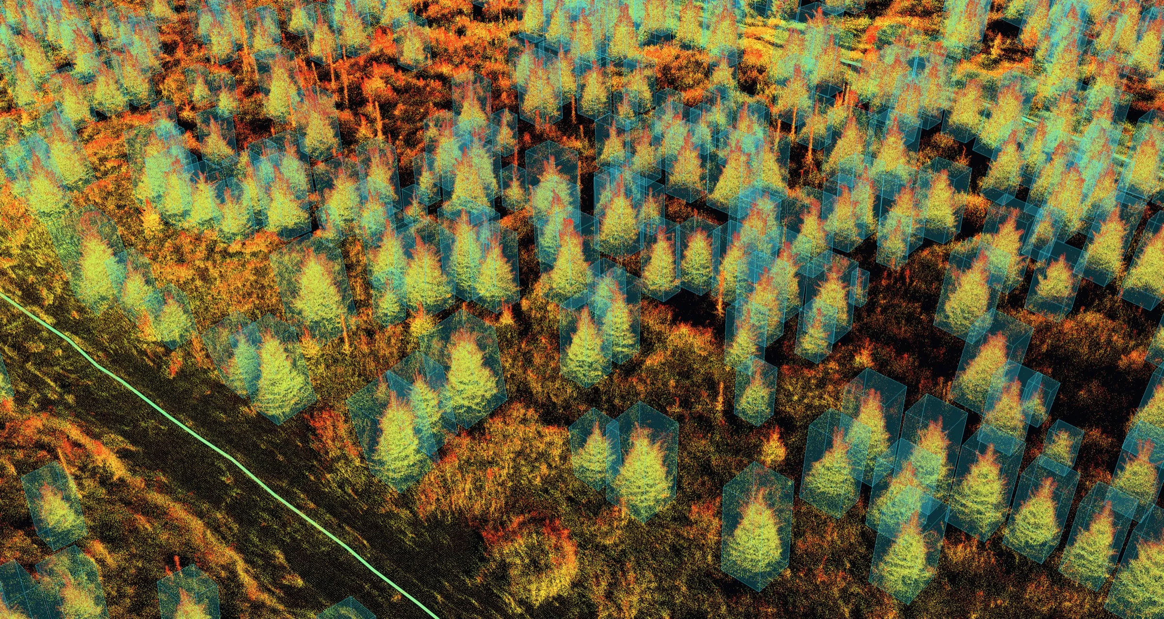 Colored LiDAR scan of nursery rows captured by the moss kit